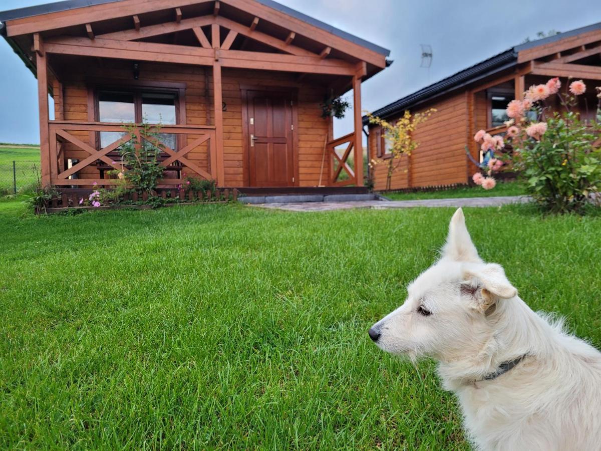 Domki Pod Lasem Vila Rokiciny Podhalanskie Exterior foto