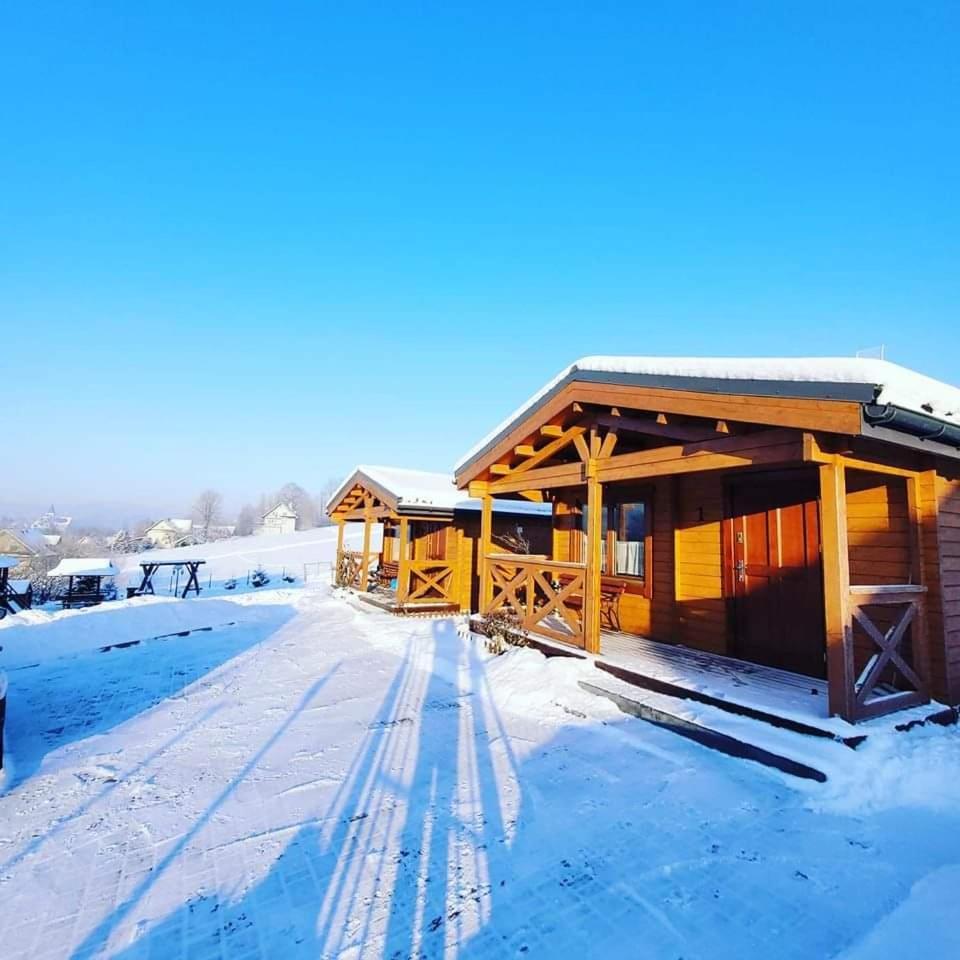 Domki Pod Lasem Vila Rokiciny Podhalanskie Exterior foto