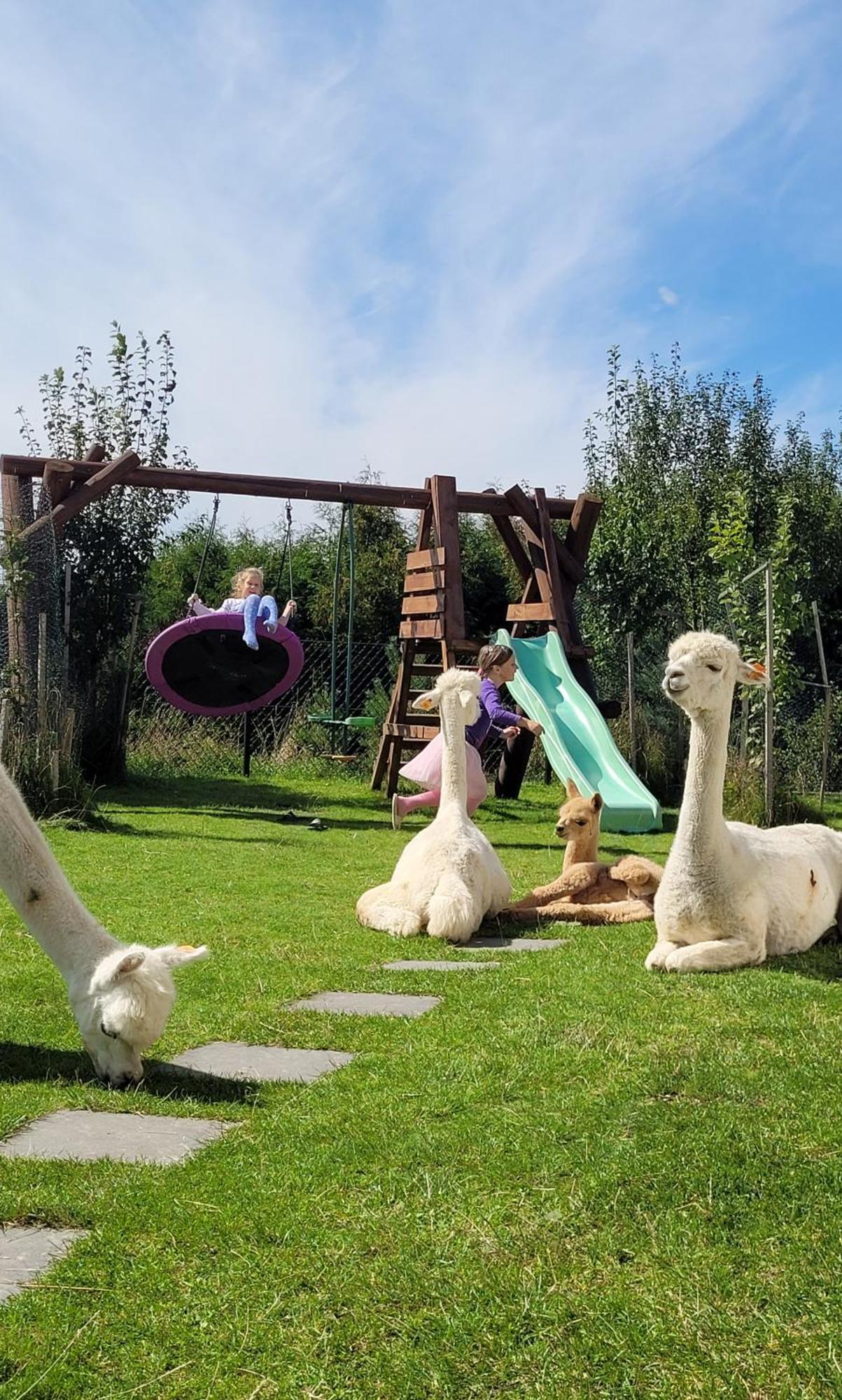 Domki Pod Lasem Vila Rokiciny Podhalanskie Quarto foto