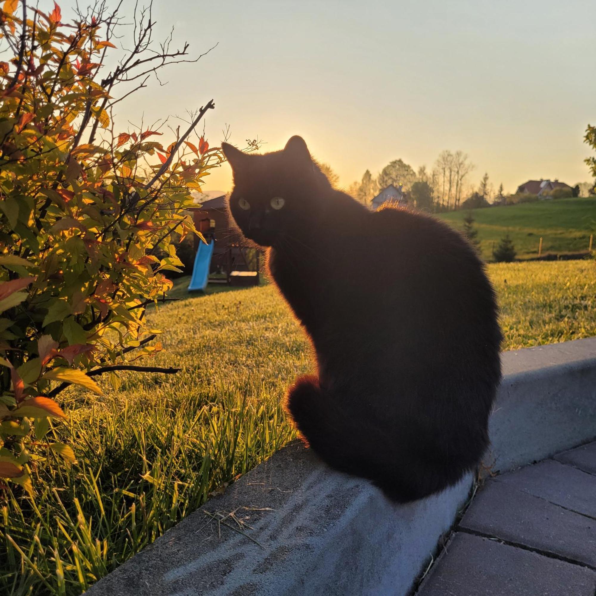 Domki Pod Lasem Vila Rokiciny Podhalanskie Exterior foto