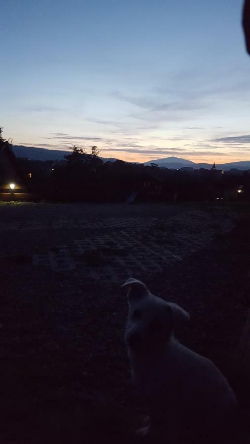 Domki Pod Lasem Vila Rokiciny Podhalanskie Exterior foto